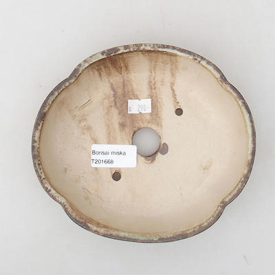 Ceramiczna miska bonsai 18 x 15,5 x 4 cm, kolor brązowy - 3