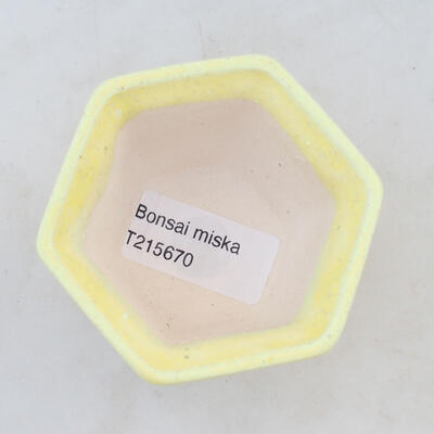 Ceramiczna miska bonsai 7 x 6,5 x 5 cm, kolor żółty - 3