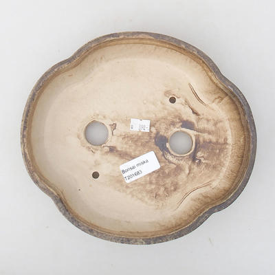 Ceramiczna miska bonsai 22 x 19,5 x 5 cm, kolor brązowy - 3