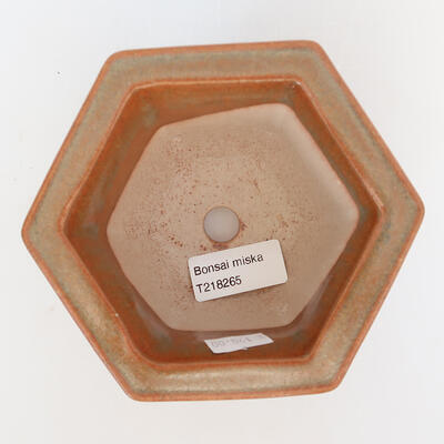 Ceramiczna miska bonsai 13,5 x 12 x 8 cm, kolor brązowy - 3