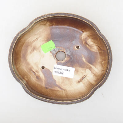 Ceramiczna miska bonsai 17,5 x 15,5 x 4,5 cm, kolor brązowy - 3