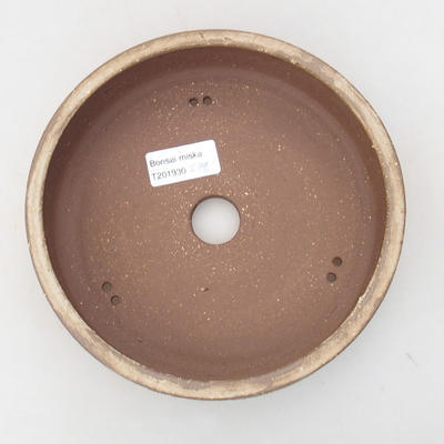Ceramiczna miska bonsai 18 x 18 x 4,5 cm, kolor beżowy - 3