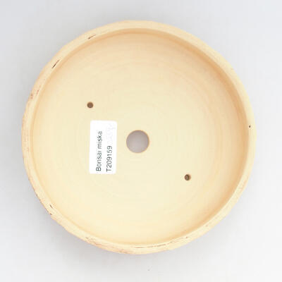 Ceramiczna miska bonsai 15 x 15 x 4 cm, kolor spękany - 3
