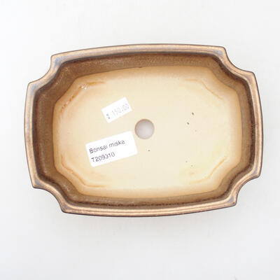 Ceramiczna miska bonsai 16,5 x 12 x 5 cm, kolor złoty - 3