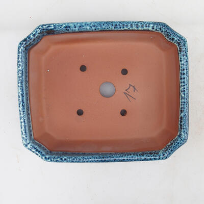 Miska Bonsai 17 x 14 x 5 cm, kolor niebiesko-biały - 3