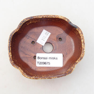 Ceramiczna miska bonsai 10 x 8 x 3,5 cm, kolor żółto-brązowy - 3