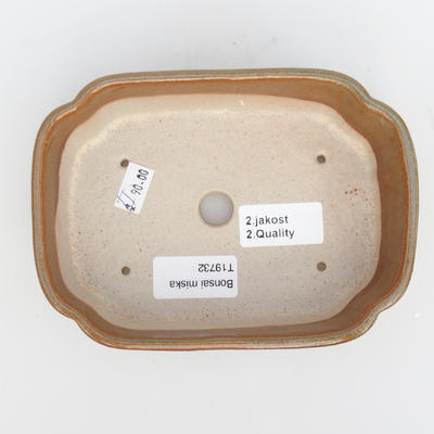 Ceramiczna miska do bonsai - wypalana w piecu gazowym 1240 ° C - II jakość - 3