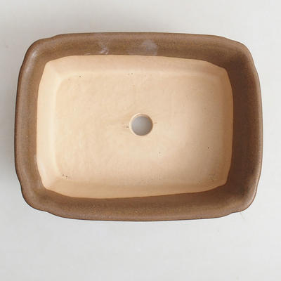 Miska Bonsai H 50-16,5 x 12 x 6 cm, brązowy - 3
