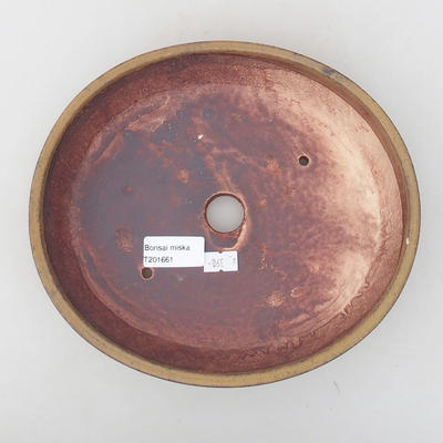 Ceramiczna miska bonsai 22,5 x 19,5 x 5 cm, kolor brązowy - 3