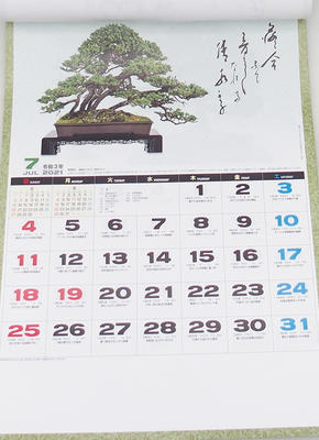 Kalendarz ścienny Bonsai 2021 - 3