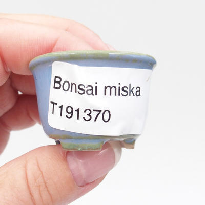 Mini miska bonsai 4 x 4 x 2,5 cm, kolor niebieski - 4