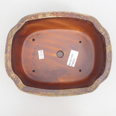 Ceramiczna miska bonsai 20 x 20 x 6,5 cm, kolor brązowy - 4