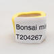 Mini miska bonsai 2 x 2 x 1,5 cm, kolor żółty - 4/4